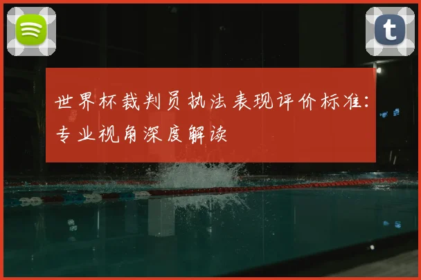 世界杯裁判员执法表现评价标准:专业视角深度解读