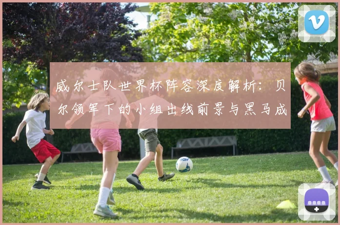 威尔士队世界杯阵容深度解析：贝尔领军下的小组出线前景与黑马成色探讨